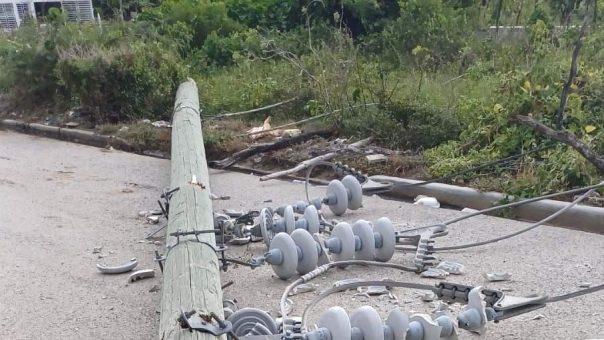 WhatsApp Image 2024-10-14 at 8.30.18 PM