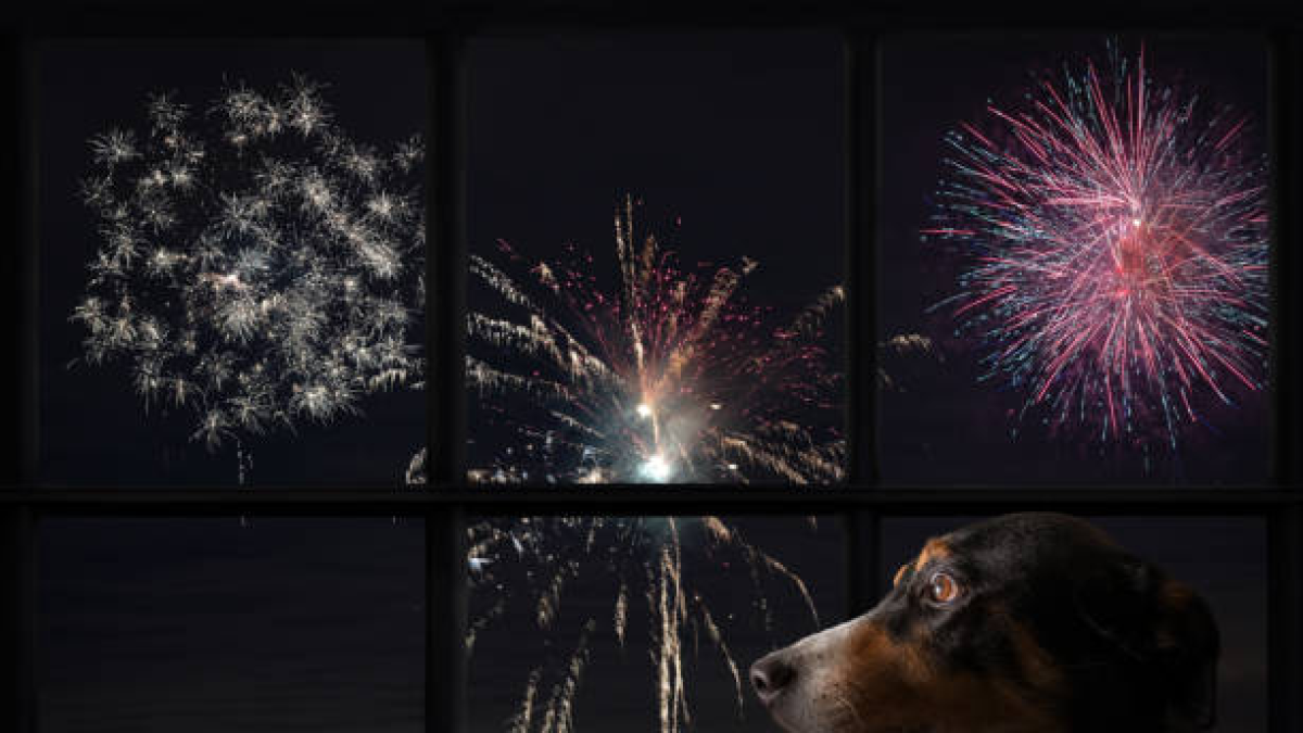 Foto de referencia/Guetty Images