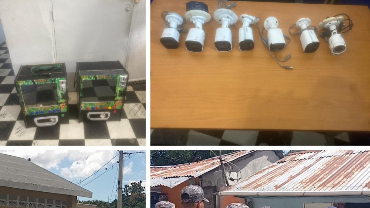 WhatsApp Image 2025-02-14 at 4.05.50 PM