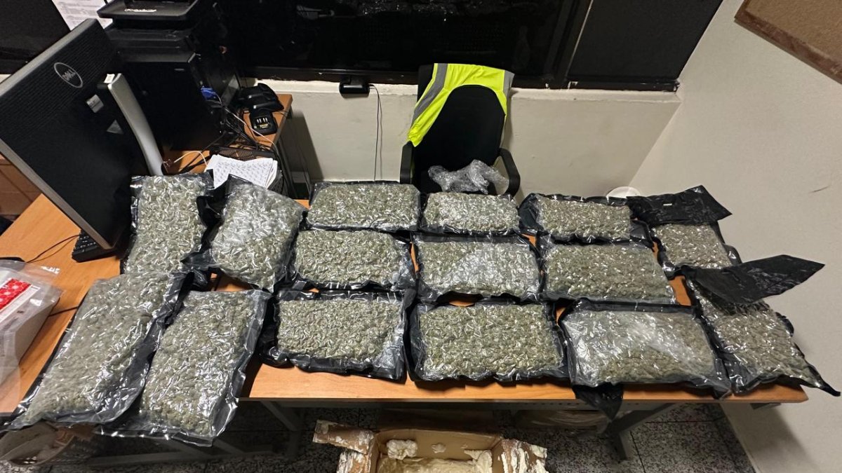 WhatsApp Image 2024-12-20 at 9.43.51 AM