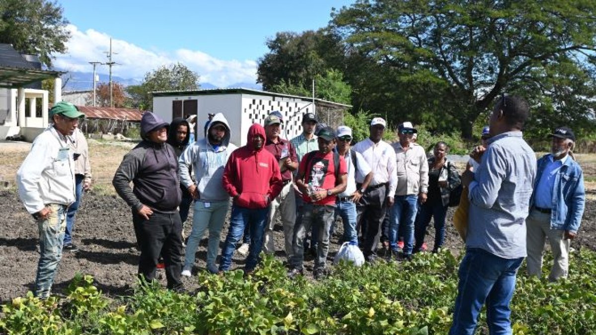 Día de campo en San Juan