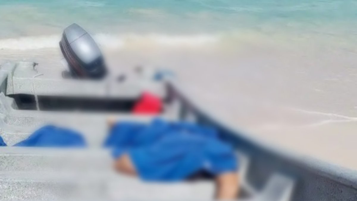 WhatsApp Image 2025-01-17 at 8.04.08 PM