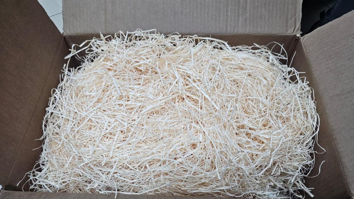 WhatsApp Image 2025-02-26 at 9.49.01 AM (2)