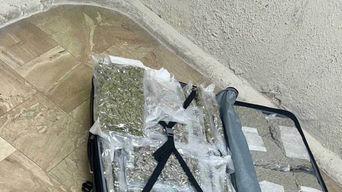 0637aadd-7c67-4898-a954-2b0f37b6fb27