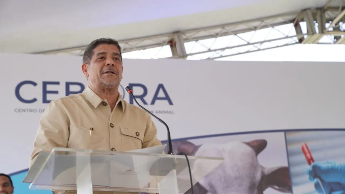 WhatsApp Image 2025-05-12 at 6.52.10 PM (1)