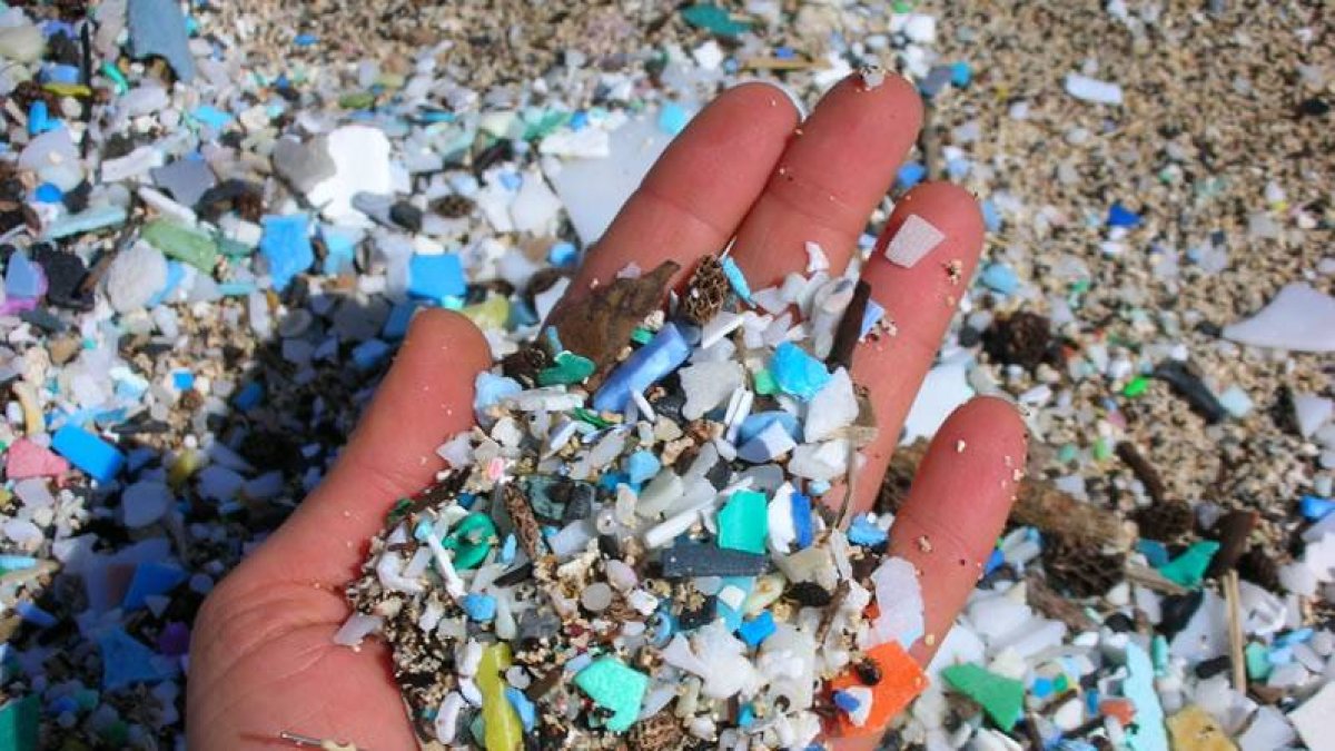 microplasticos-impacto-la-degradacion-del-medio-ambiente