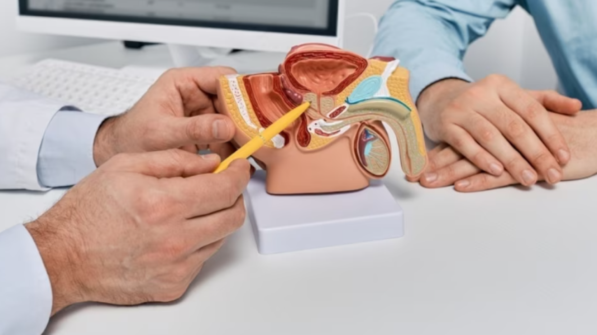 Captura de pantalla 2025-06-07 095835