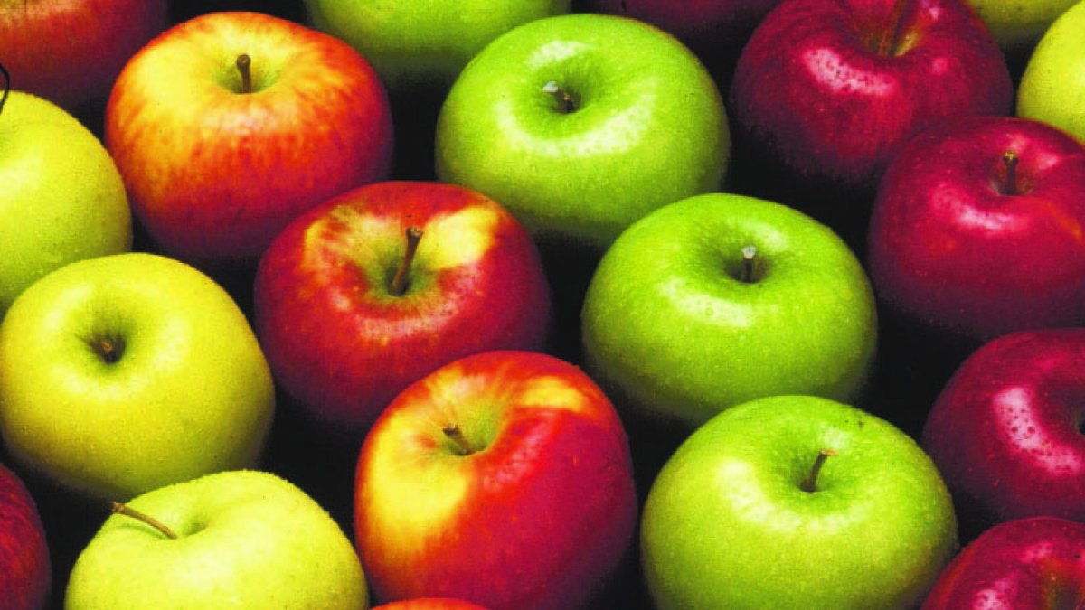 Tipos de manzanas: la  Royal Gala, Golden Delicious, Stayman Winesap, Stark Delicious y Granny Smith.