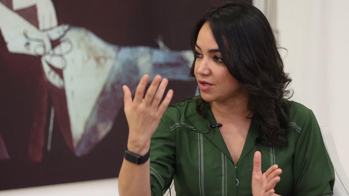 Faride Raful: “Mi mayor desafío ha sido tratar de imponer el orden a ...