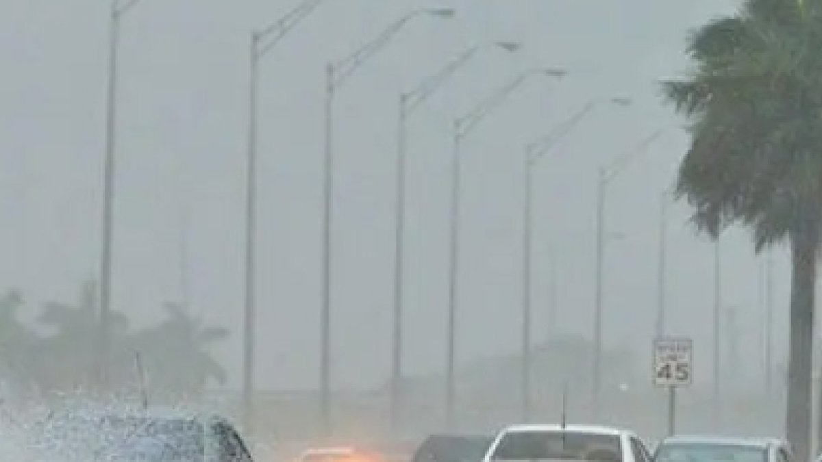 Indomet ofreció  informe.