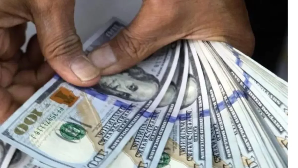 Se espera que la economía de RD genere divisas 45,000 millones de dólar en 2025.