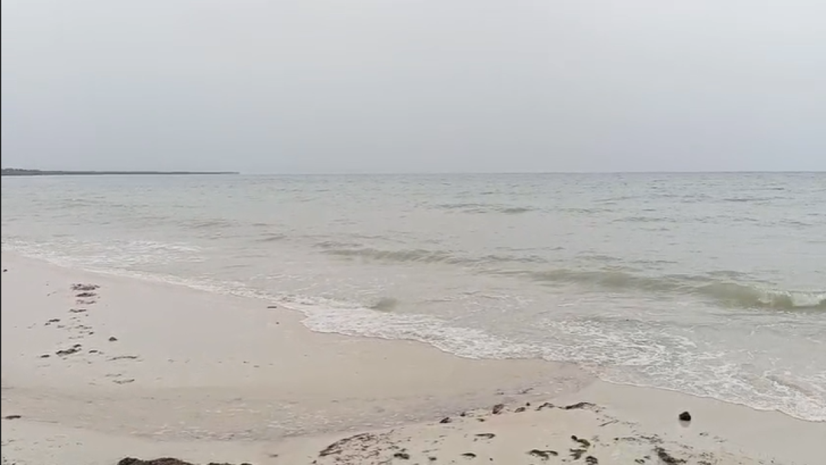 Captura-de-pantalla-2025-10-23-115520