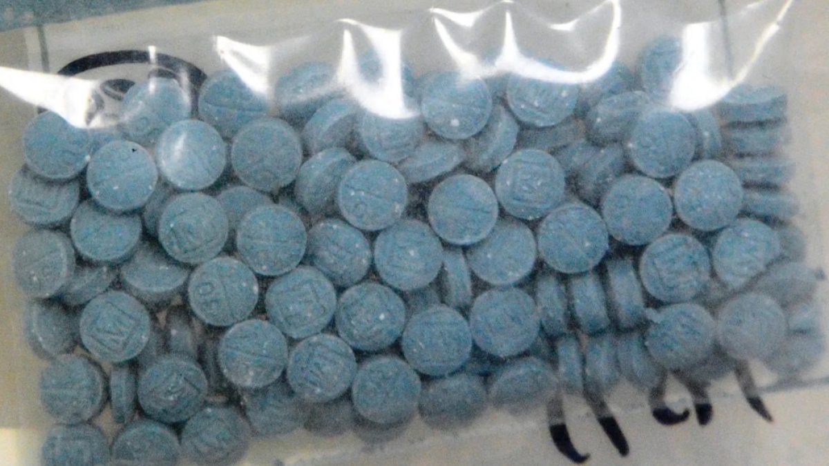 Nueva York logra reducir a la mitad las muertes por opioides