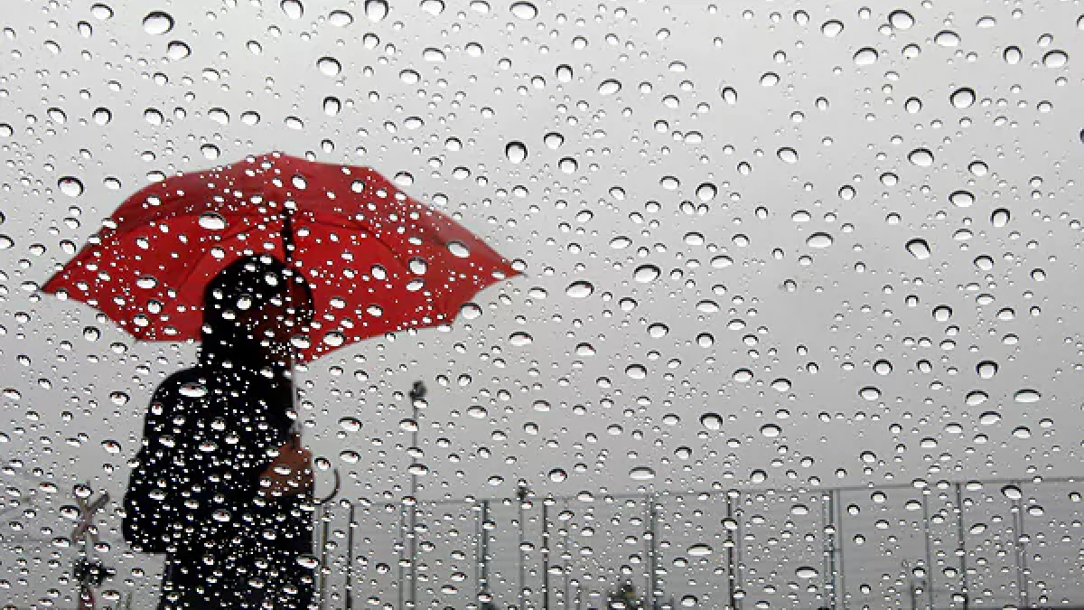 Foto de referencia. Fuente externa.