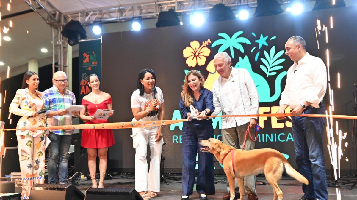 Seguros Reservas lanza su nuevo seguro para mascotas: todo lo que debes saber