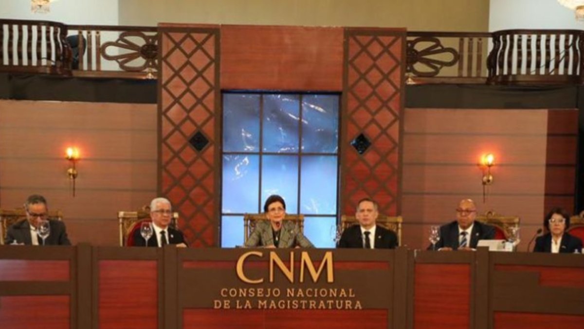 Esta segunda jornada de vistas públicas del CNM estuvo encabezada por la vicepresidenta Raquel Peña.