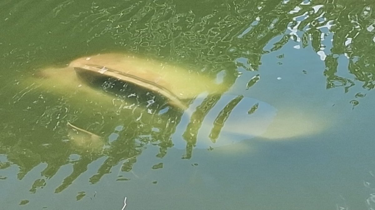 WhatsApp Image 2025-08-30 at 2.17.17 PM