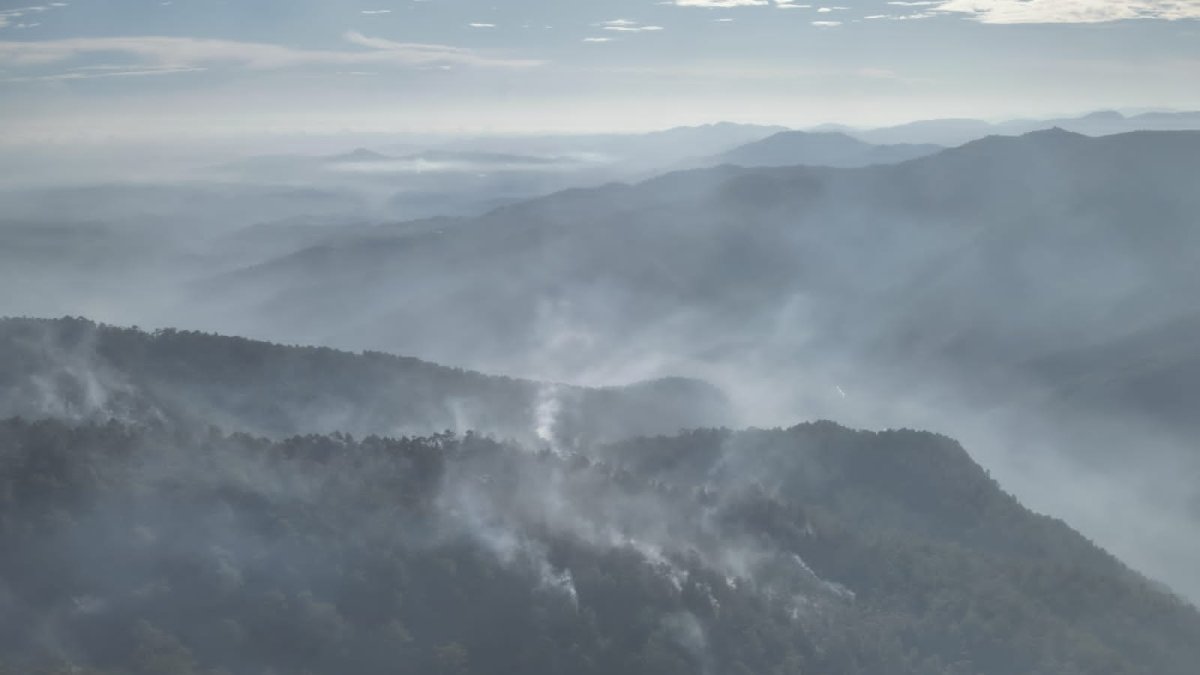 WhatsApp Image 2025-08-25 at 2.03.47 PM (1)