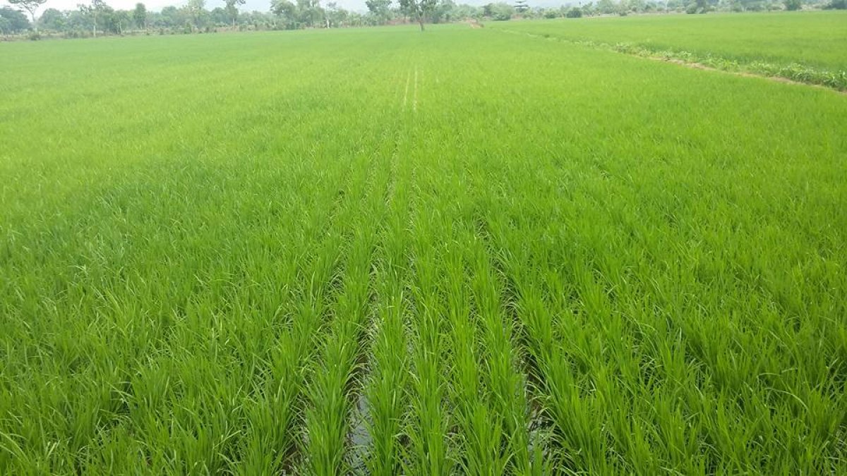 464388213_8595551707190746_3853482300204098259_n