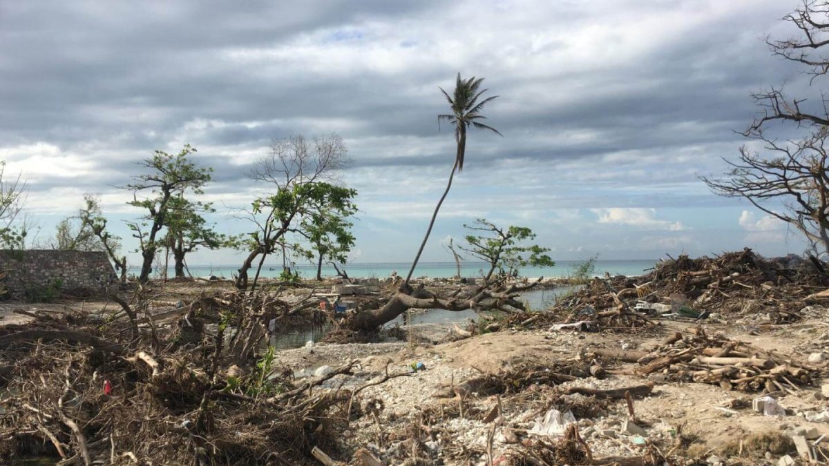 30996240083_6c80cd741c_k (2)