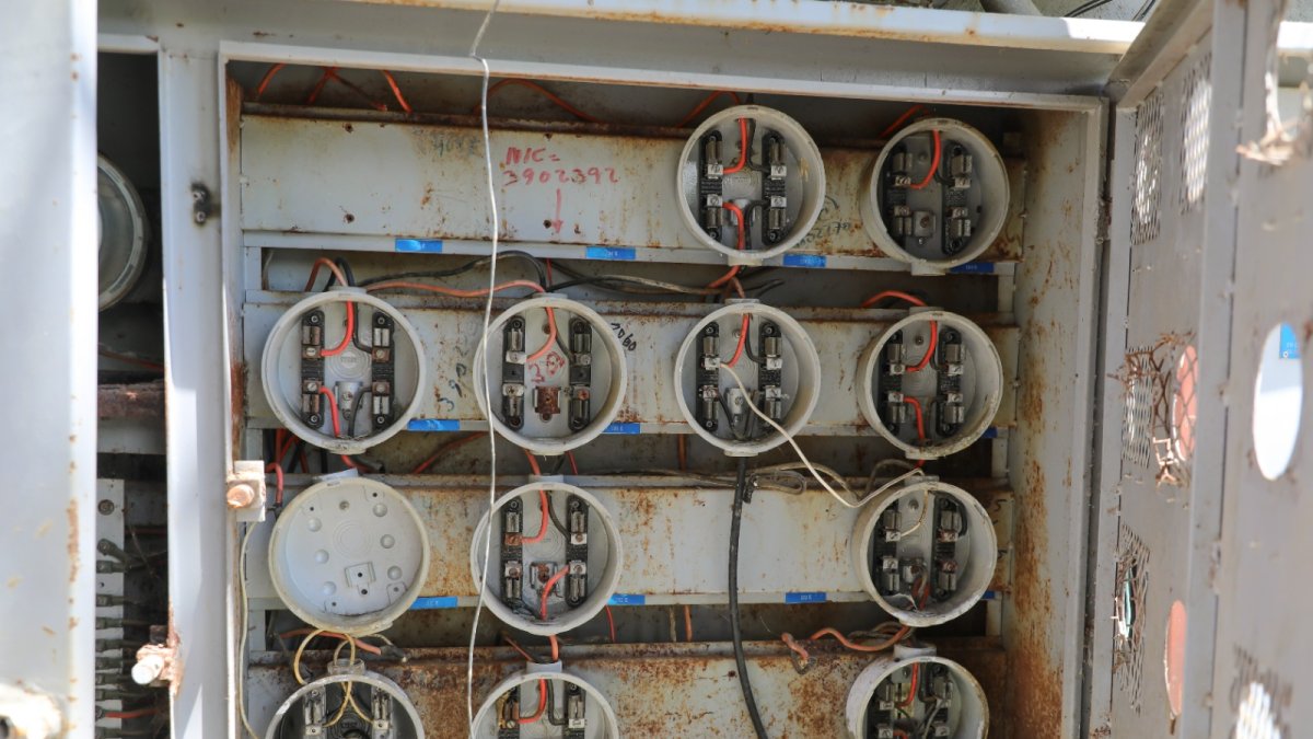 WhatsApp Image 2025-08-29 at 8.23.15 PM