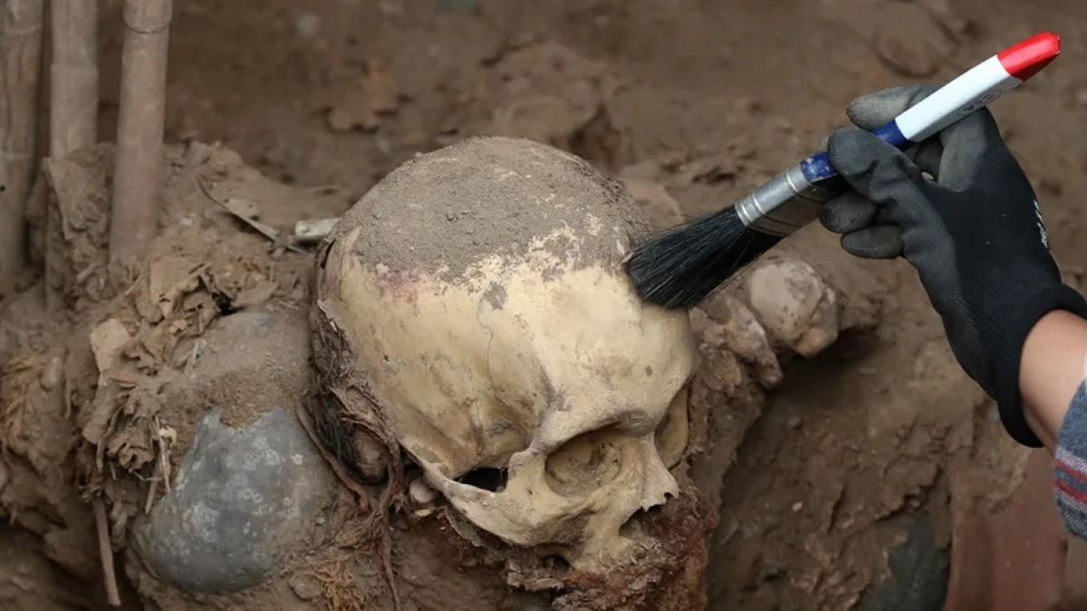 Migración en la costa del Pacífico de Perú comenzó hace 800 años