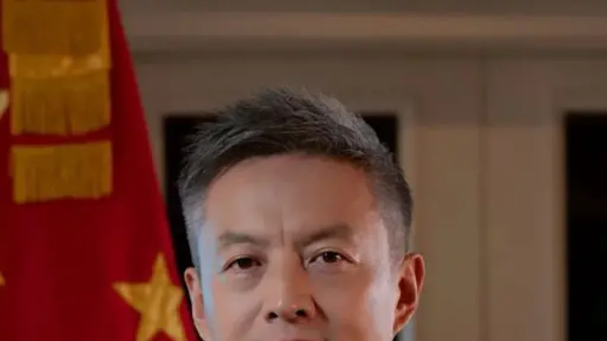 Chen Luning, embajador