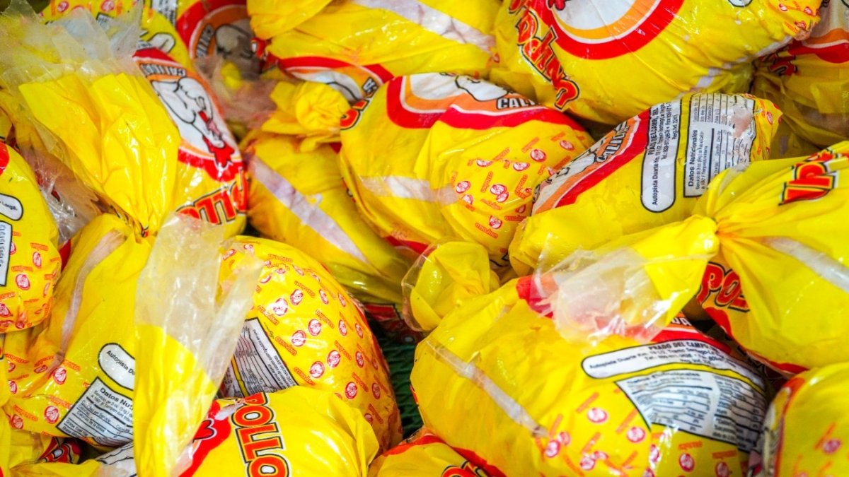 WhatsApp Image 2025-08-21 at 10.42.24