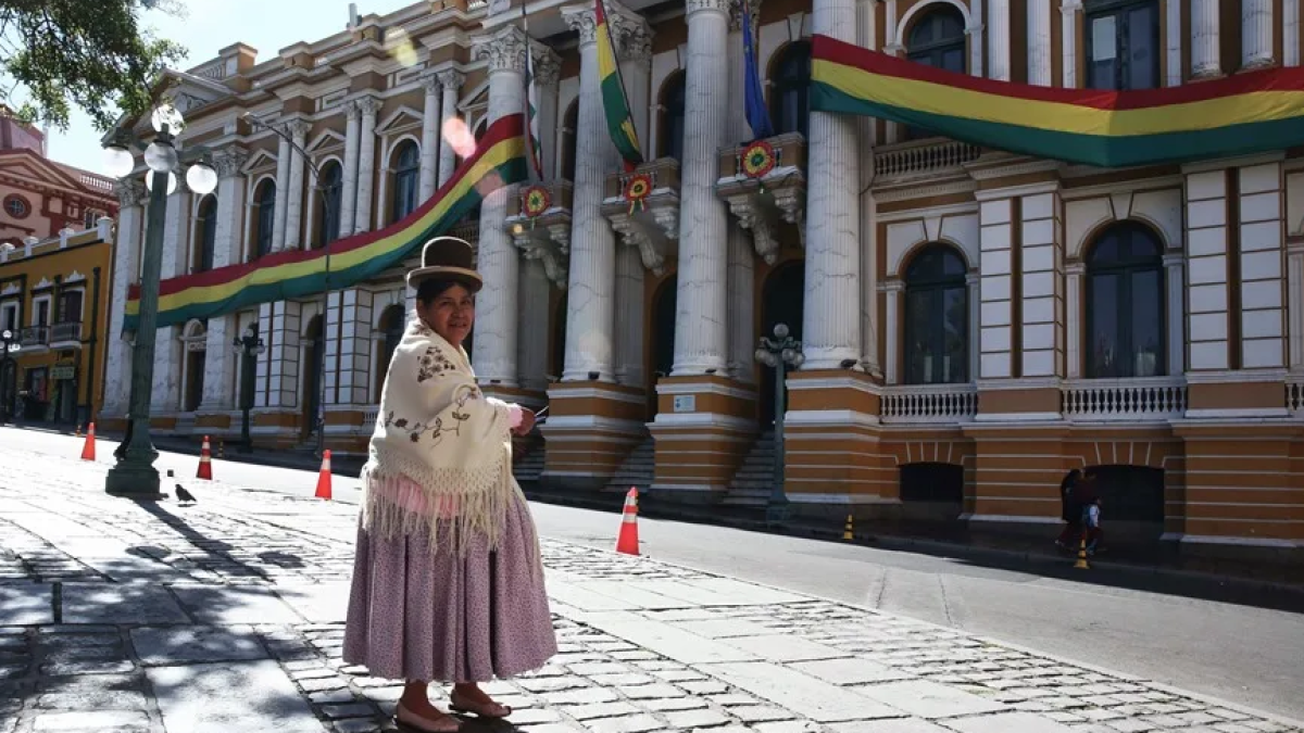 Una mujer aimara posa frente al Palacio Legislativo.  EFE/ Luis Gandarillas