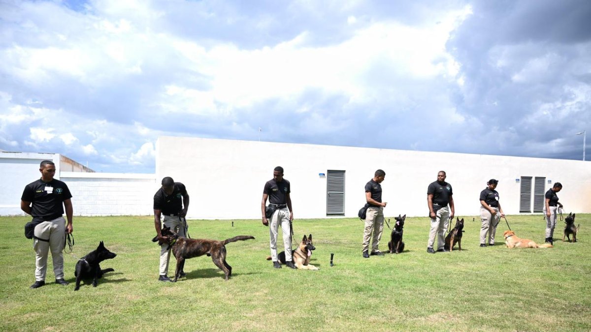 CESAC refuerza seguridad