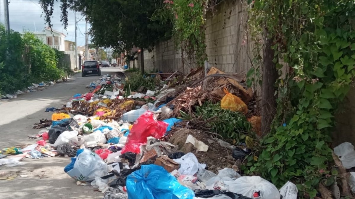 Basura inunda calles, avenidas y callejones.