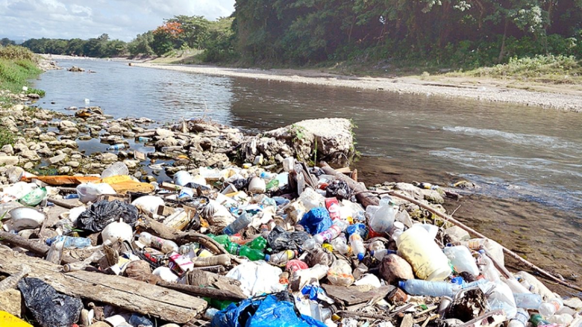 Reconoce los esfuerzos de algunas autoridades.