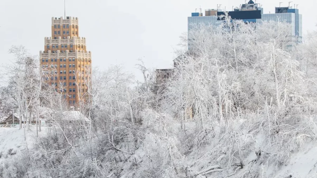 arboles cubiertos de hielo y nieve en las Cataratas del Niágara en su parte estadounidense, en Nueva York (EE.UU). EFE