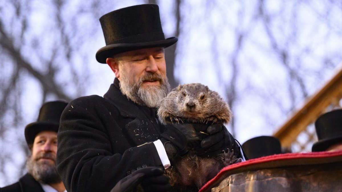El cuidador de la marmota, AJ Dereume, sostiene a Punxsutawney Phil después de que viera su sombra