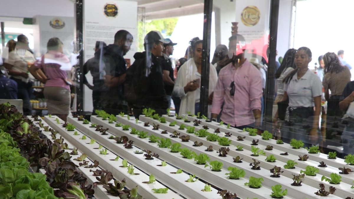 La feria se desarrolla en la Ciudad Ganadera.