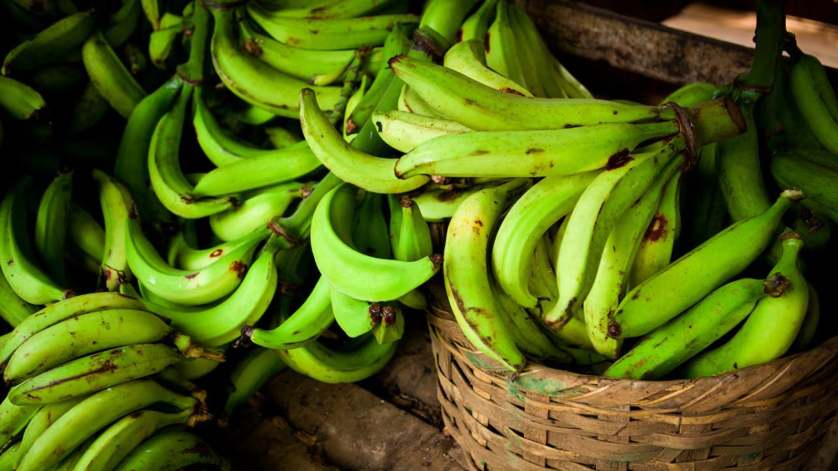 Banano