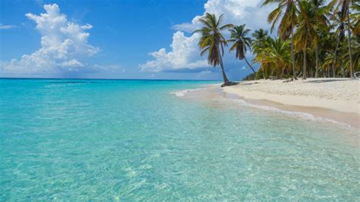 Forbes incluye a Canto de la Playa en la Isla Saona entre las 50 mejores playas del planeta