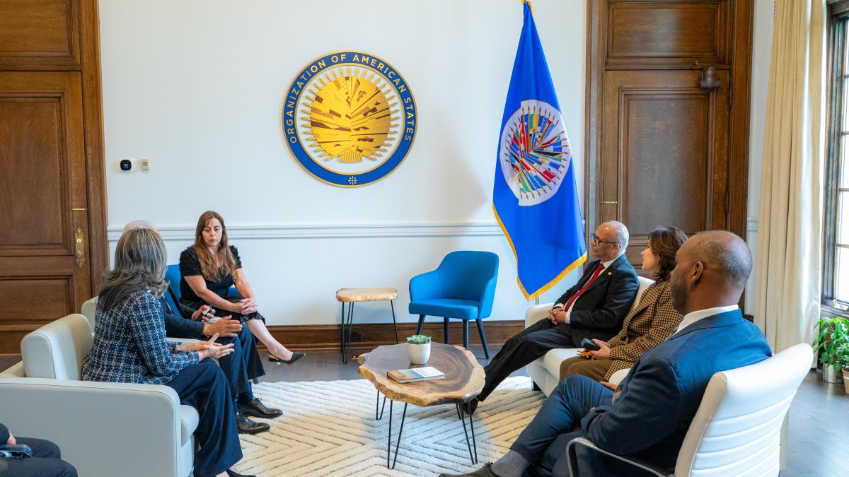 Ricardo de los Santos y OEA abordan cooperación contra drogas sintéticas en las Américas