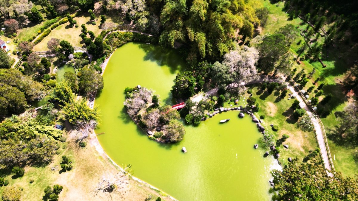 ¡Cuidemos el medioambiente! Cinco acciones que contribuyen