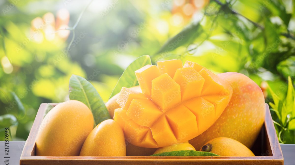 Del árbol a la mesa: los beneficios del mango y las recetas que aprovechan la fruta estrella