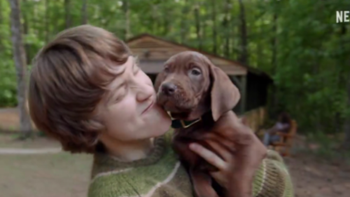 ¡Scooby por fin es real! Netflix estrenará SCOOBY-DOO: El or