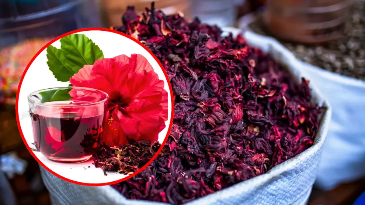 ¿Es cierto que la flor de Jamaica ayuda a controlar la diabe