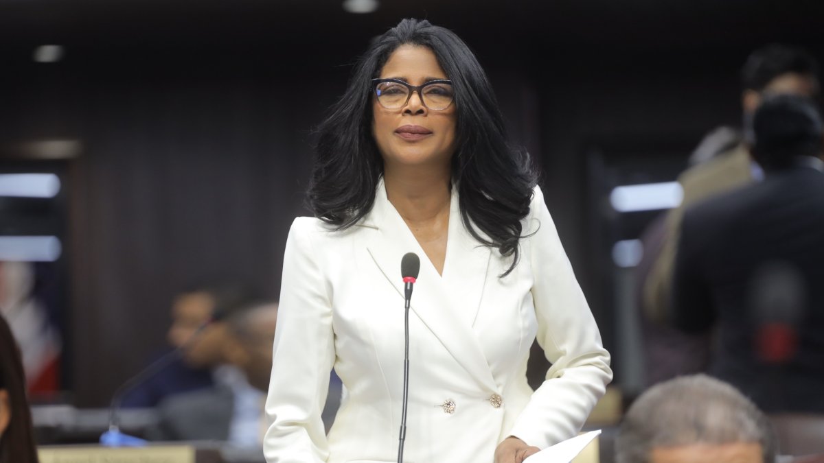 ¿Fin de la prisión por difamación? Diputada Lidia Pérez prop