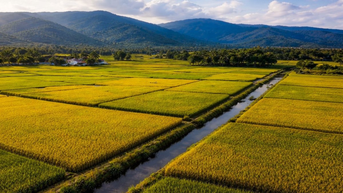 Zonificación agrícola en República Dominicana