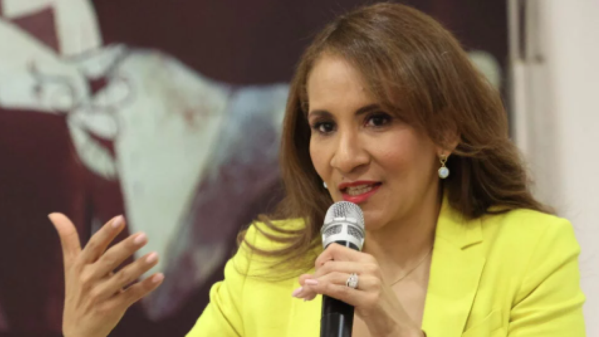 Vicepresidenta del PLD exige integrar datos para frenar feminicidios.