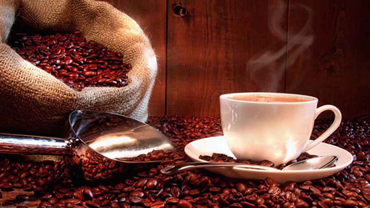 Coffee Fertilizer Use Contrasts with Intensive Systems in Other Countries