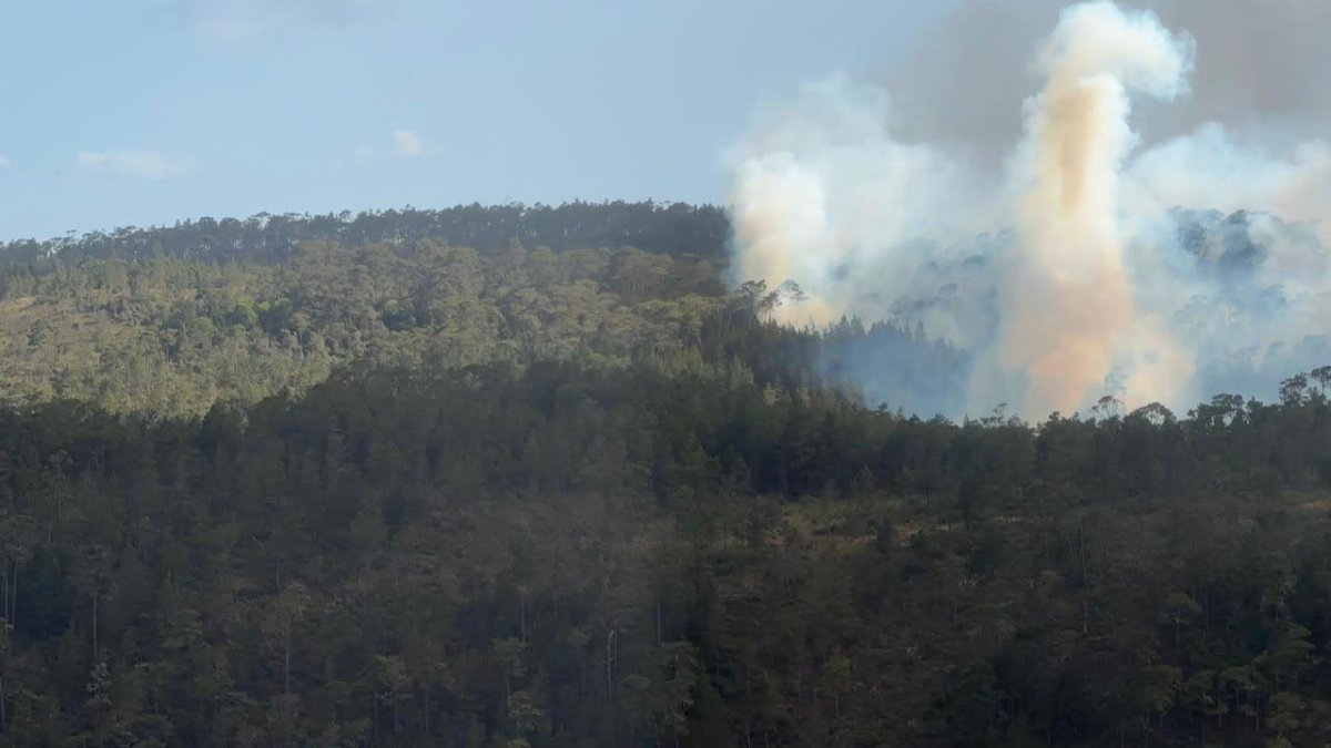 Bomberos controlan 70% de incendio en parque nacional Bahoruco