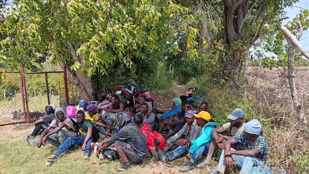 Ejército dominicano detiene a 81.457 haitianos ilegales en seis meses