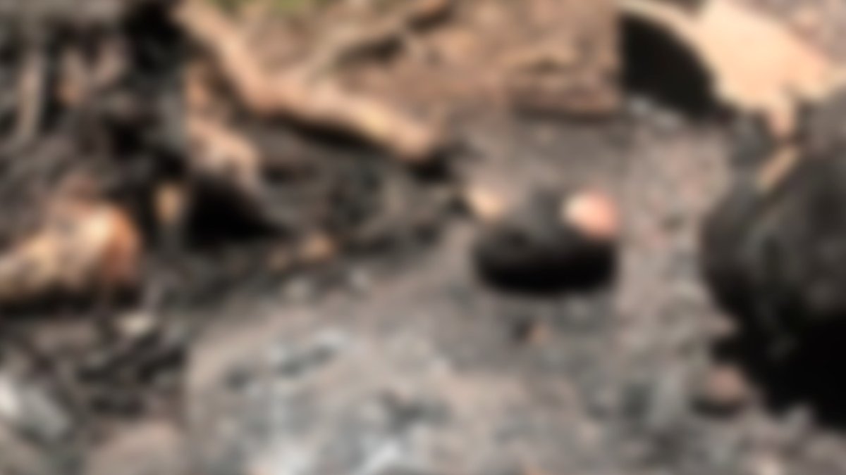 Hallan restos calcinados de anciano desaparecido en Dajabón