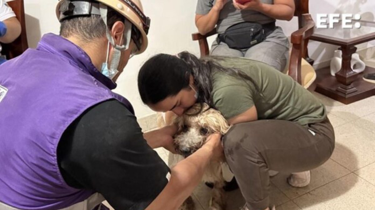Camila Sepúlveda abraza a su perro Antonio, rescatado con vida a más de nueve metros de profundidad entre los escombros de un edificio de Torres del Limonar, este miércoles en Cali (Colombia). EFE/ Mario Baos